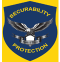 Securability Protection - Logo