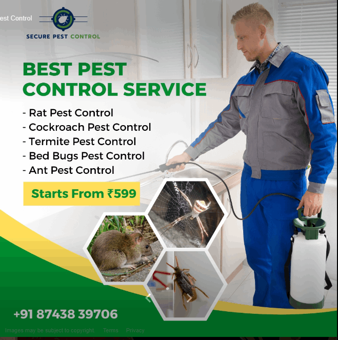 Secure Pest Control - Cover photo