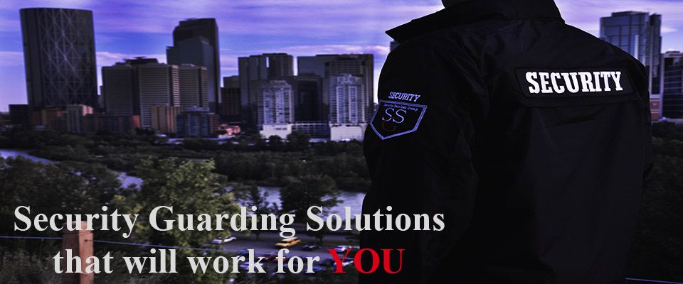 Security Service Group Inc - Logo