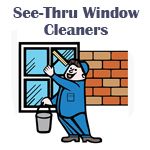 See-Thru Window Cleaners - Logo