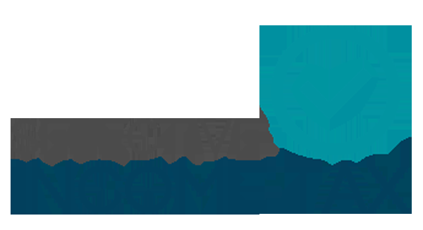 Selective Income Tax - Logo
