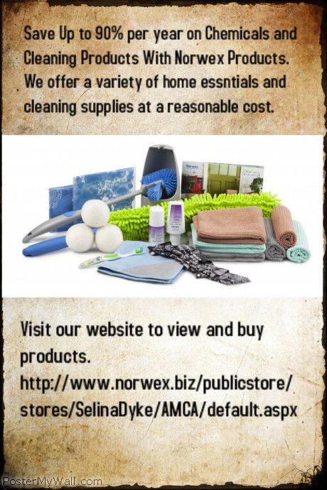 Selina Dyke-Norwex Idependant Sales Consultant - Logo