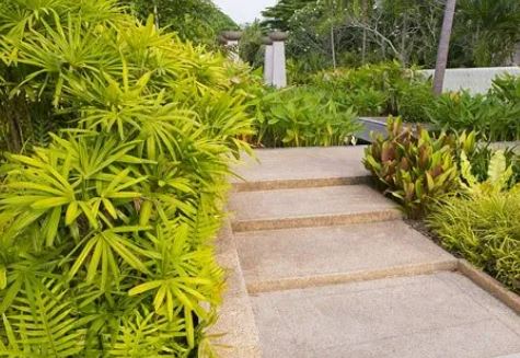 Semrau Constructions Pty Ltd - Cover photo