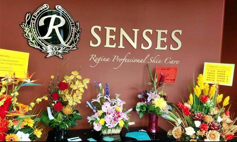 SENSES Spa by Regina Professional Skin Care - Logo