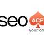Seo Ace India 134257 - Logo