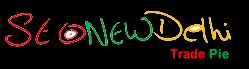 Seo New Delhi 291349 - Logo