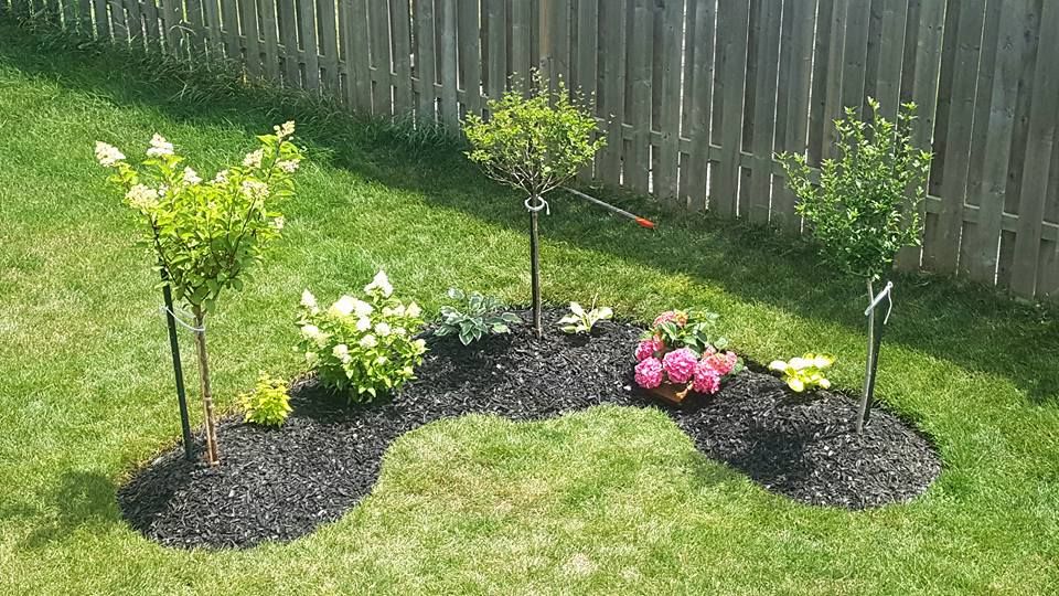 Serenity Patch Landscaping - Cover photo
