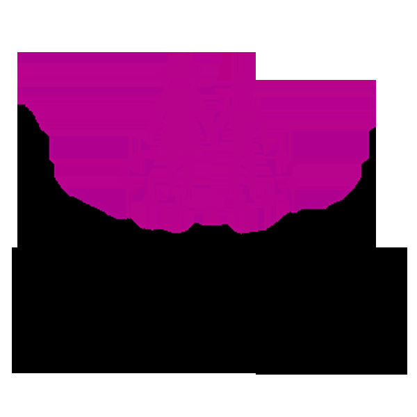 Service De Garde Sissimo - Logo