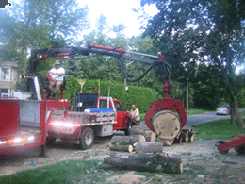 Service d&s;Arbres Marco - Logo