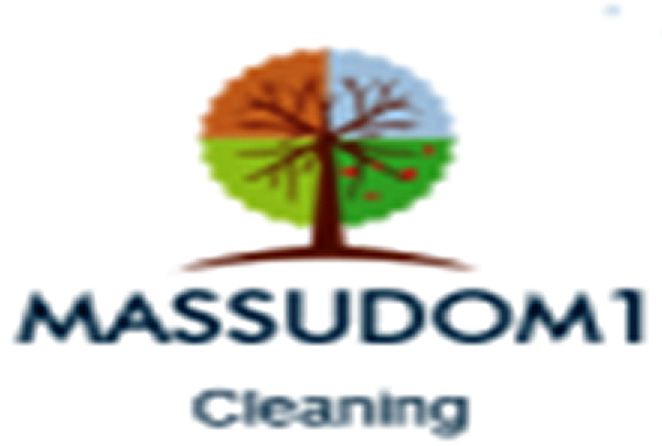 Service Massudom - Logo
