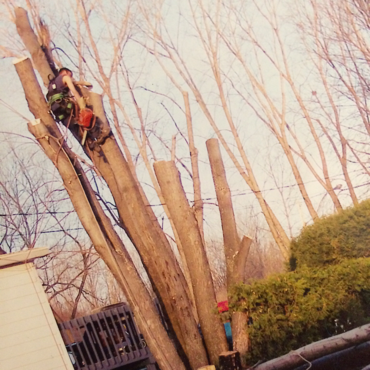 Services D&s;Arbre Pépin - Cover photo