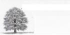 Services d&s;arbres Abattage A Plus Inc. - Logo