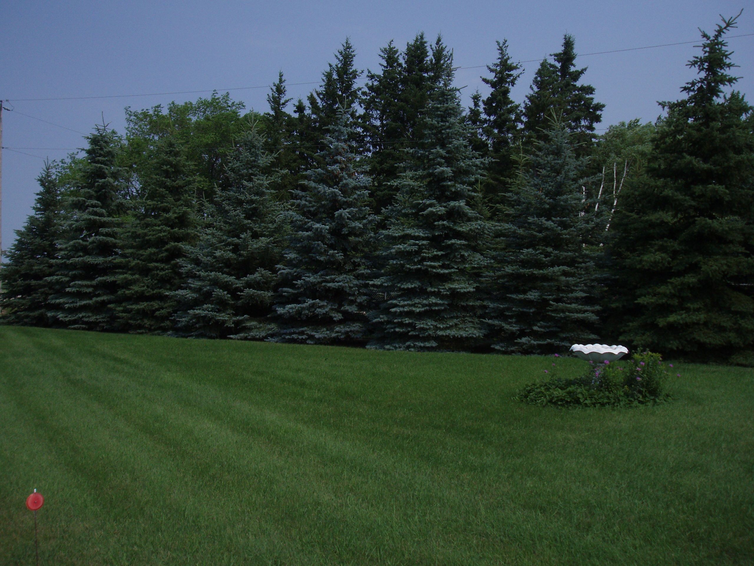 Shade &a; Shrub Nursery &a; Supply Ltd. - Cover photo