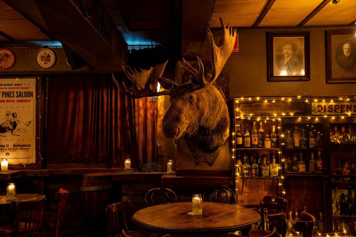 Shady Pines Saloon - Logo