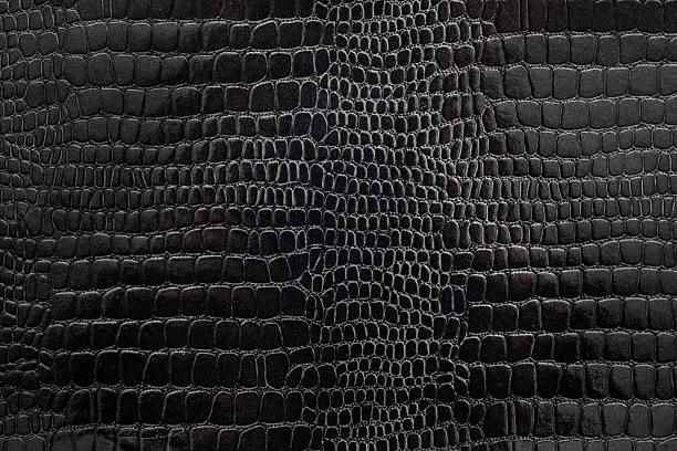 Shagun Leather Gift - Cover photo