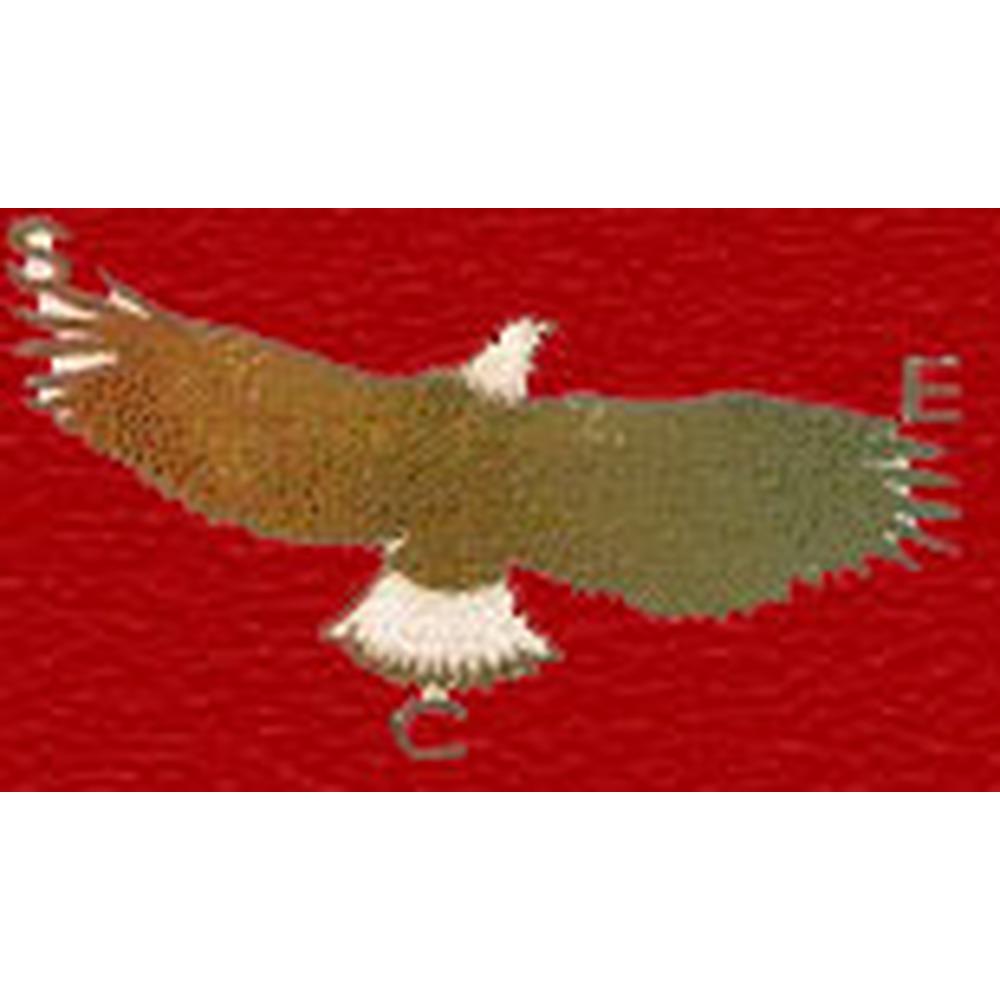 Shaheen College of Education - Logo