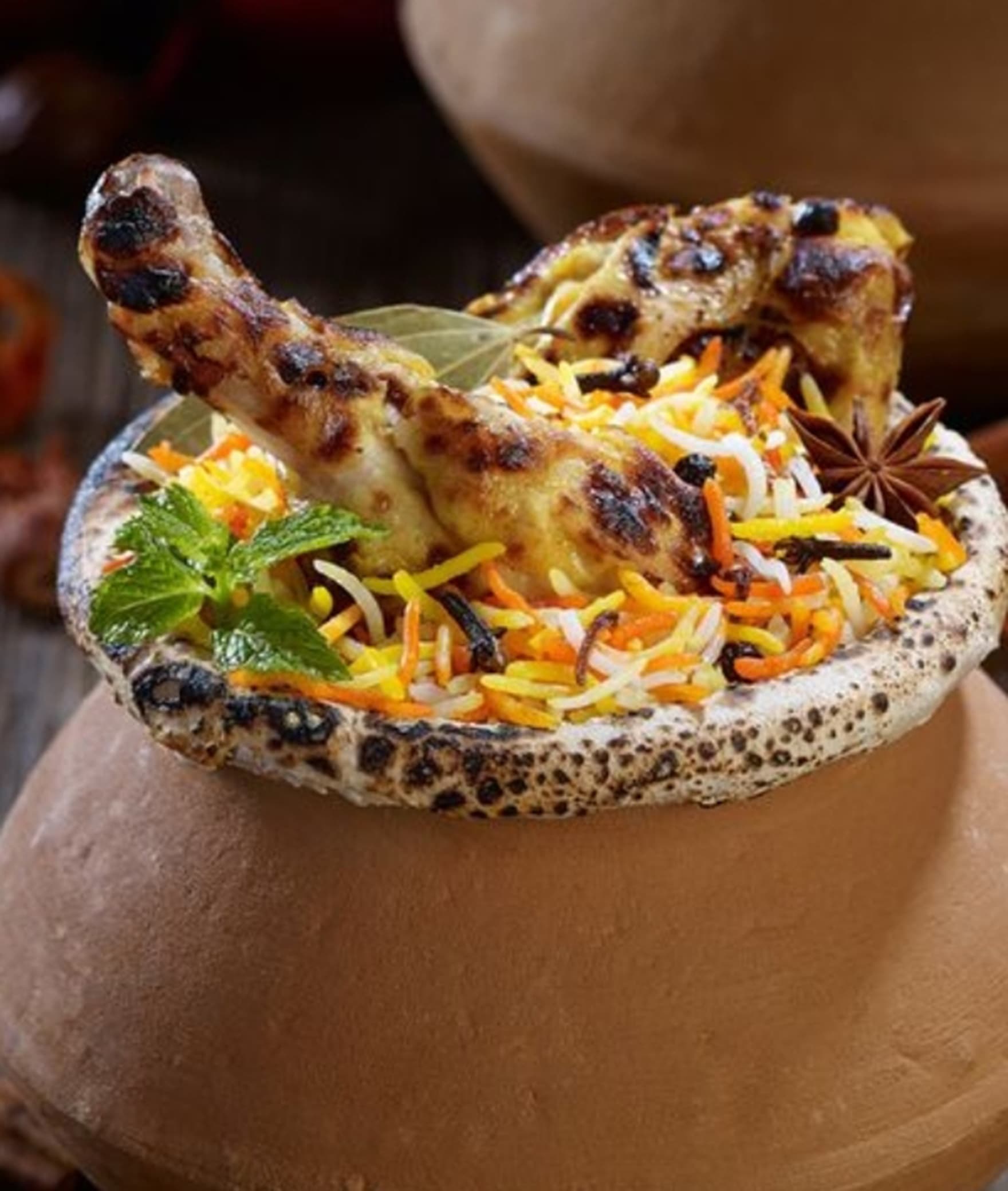 Shahi Mughlai Matka Dum Biryani - Logo
