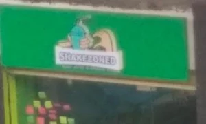 Shakezoned - Logo