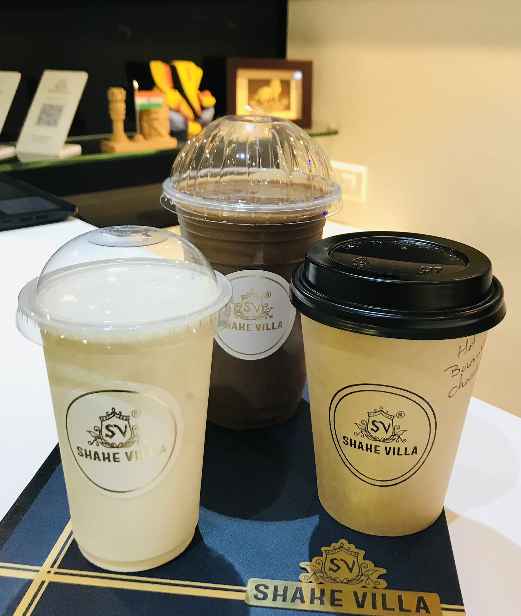 Shake Villa - Logo