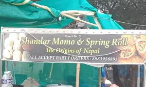 Shandar Momo & Spring Roll - The Origins Of Nepal - Logo