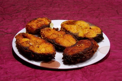 Shan E Mughlai - Logo