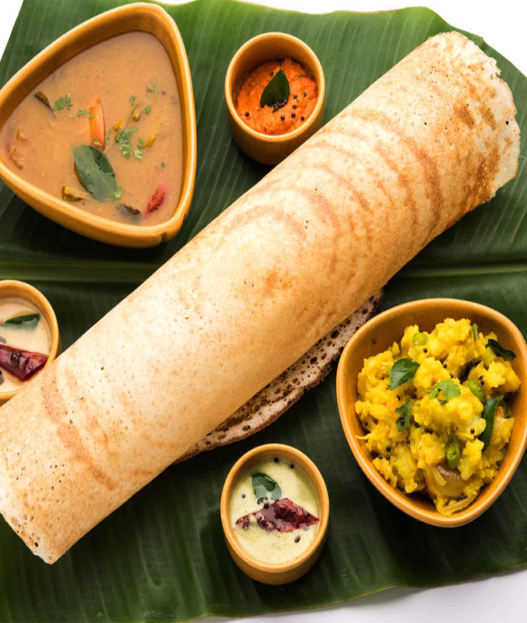 Shankara Kitchen - Logo