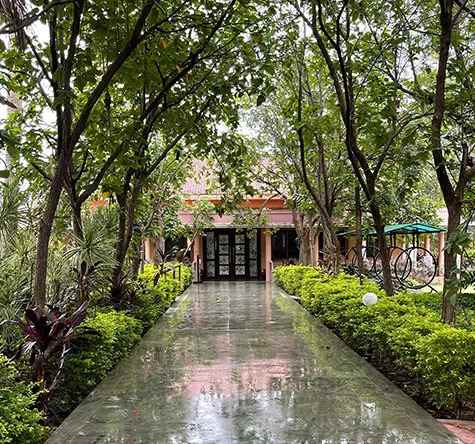 Shankus Natural Health Center - Cover photo