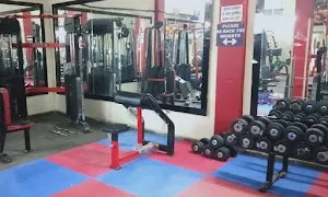 Shape Up Gym - Logo