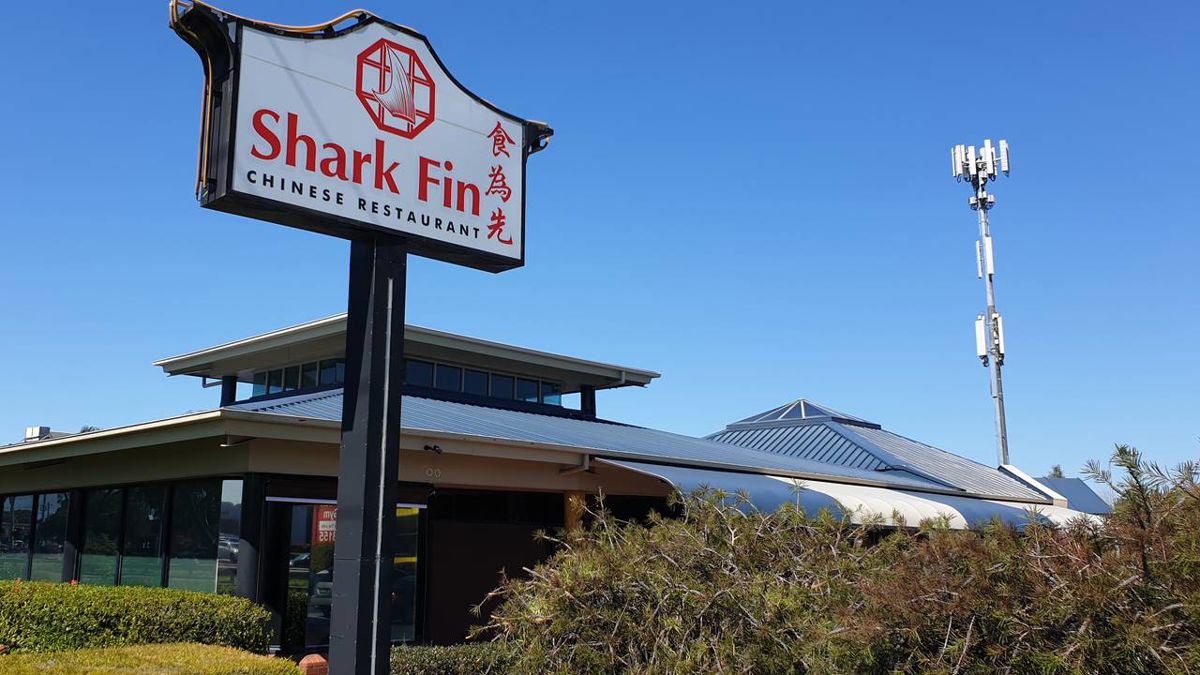 Shark Fin Inn Keysborough - Logo