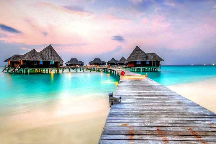 Sharp Travels India Limited - Cover photo