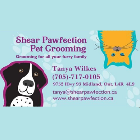 Shear Pawfection Pet Grooming - Logo