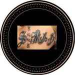 Sheer Madness Food Solution - Logo