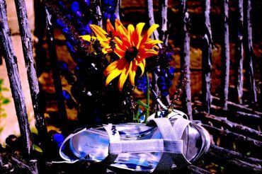 Shelly&s;s Flower Photography - Logo