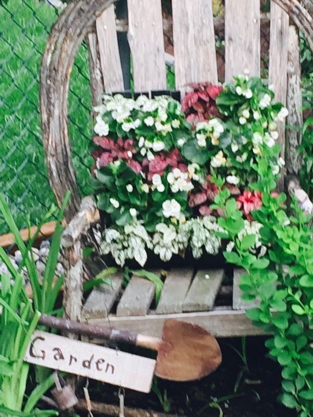 Shelmerdine Nurseries &a; Garden Center Limited - Logo