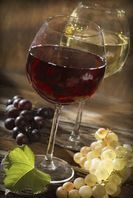 Sheppard Wine Works - Logo