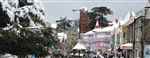 Shimla Tour In - Logo