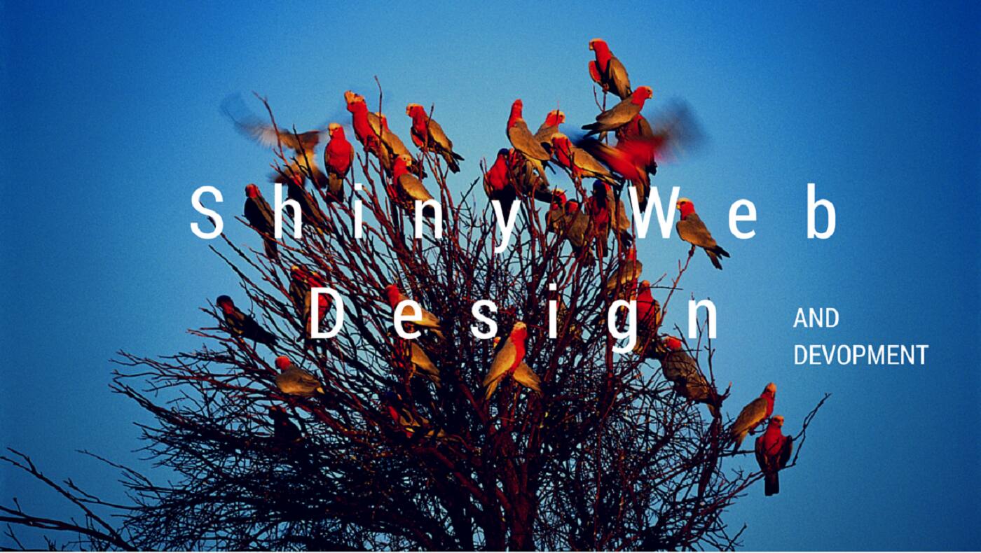 Shiny Web Design - Cover photo