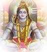 Shiva Blankets 138683 - Logo