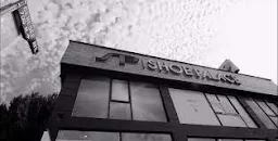 Shoe Palace - Cover photo