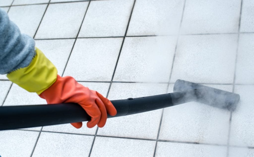 Shoreclean Pest Control & Carpet Cleaning - Logo