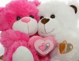 Shraddha Teddy House - Cover photo