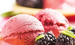 Shree Janta Ice Cream - Logo