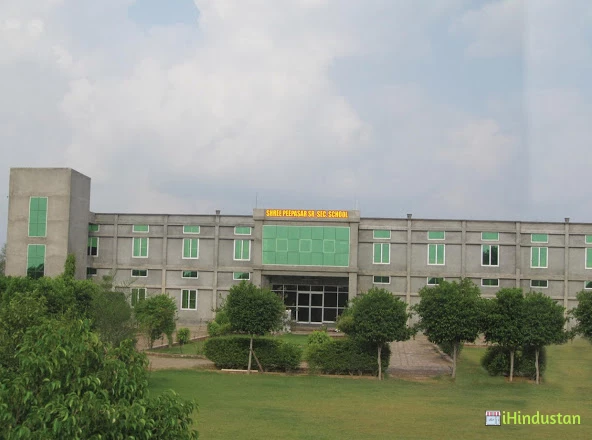 Shree Peepasar Sr. Sec. School - Sadalpur - Logo