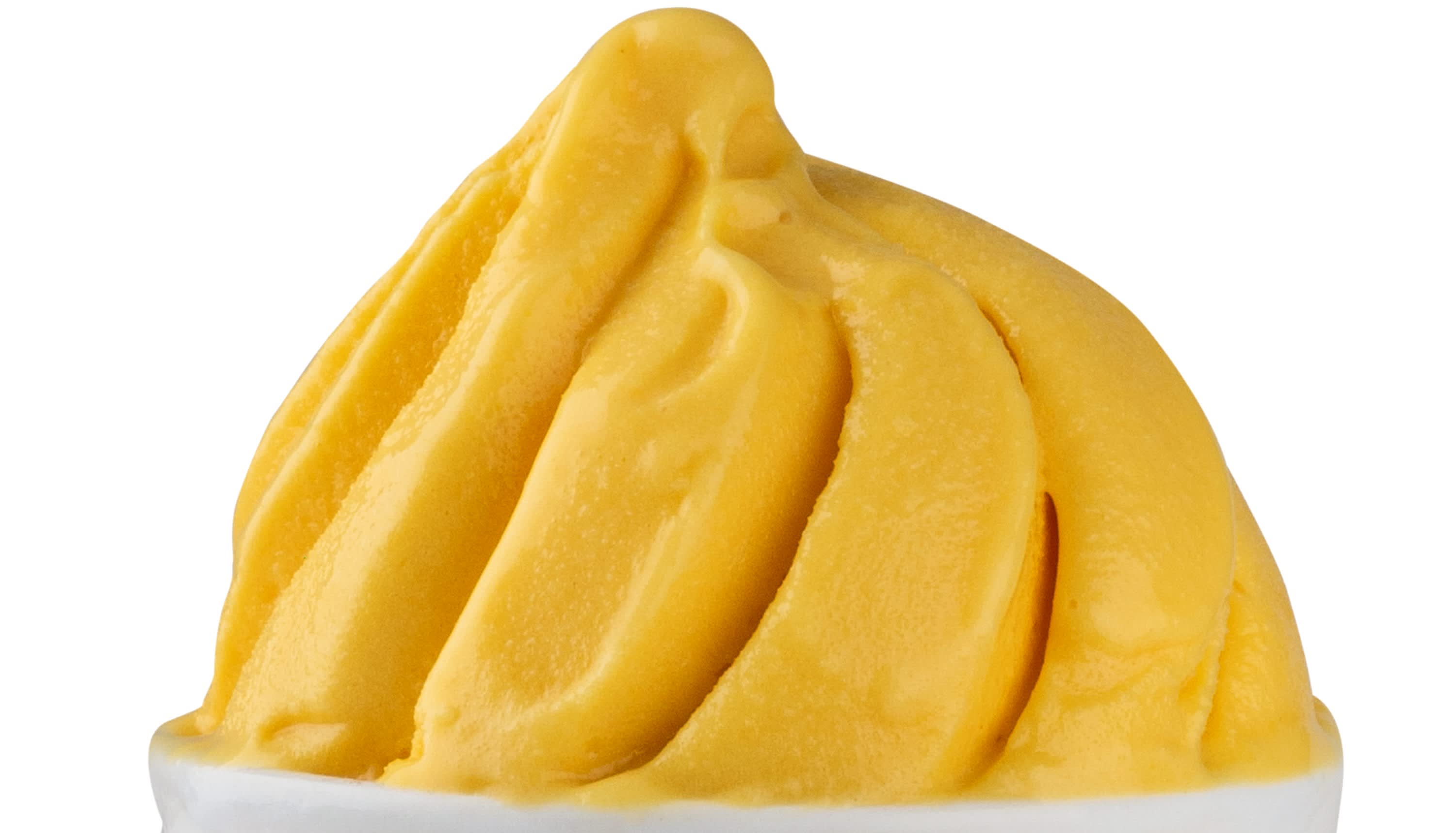 Shree Ramdev Icecream - Logo