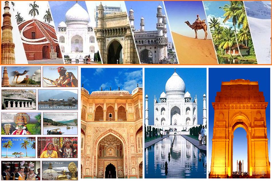 Shree Sai Travels - Cover photo
