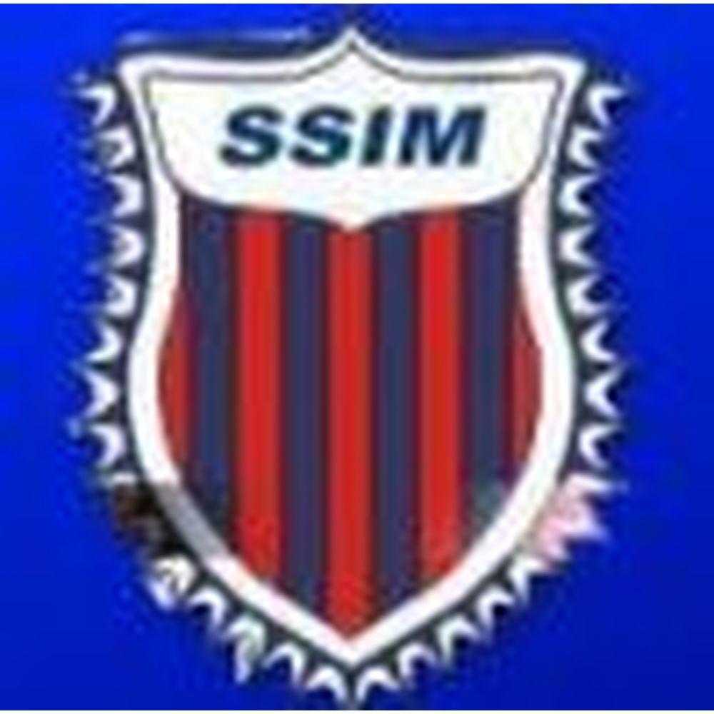 Shree Satya Group of Institutions (SSGI) - Logo