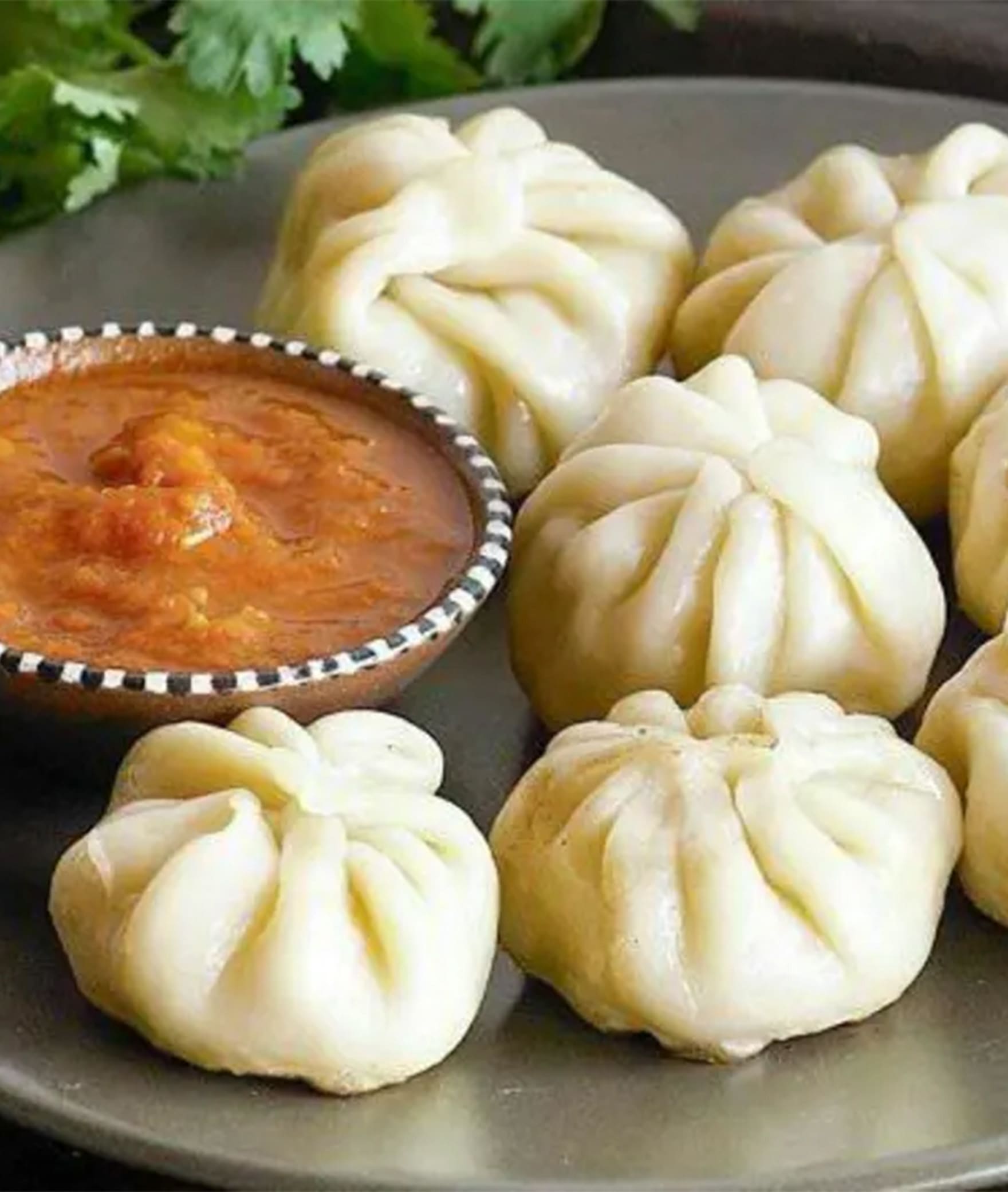 Shree Shyam Food Plaza - Logo