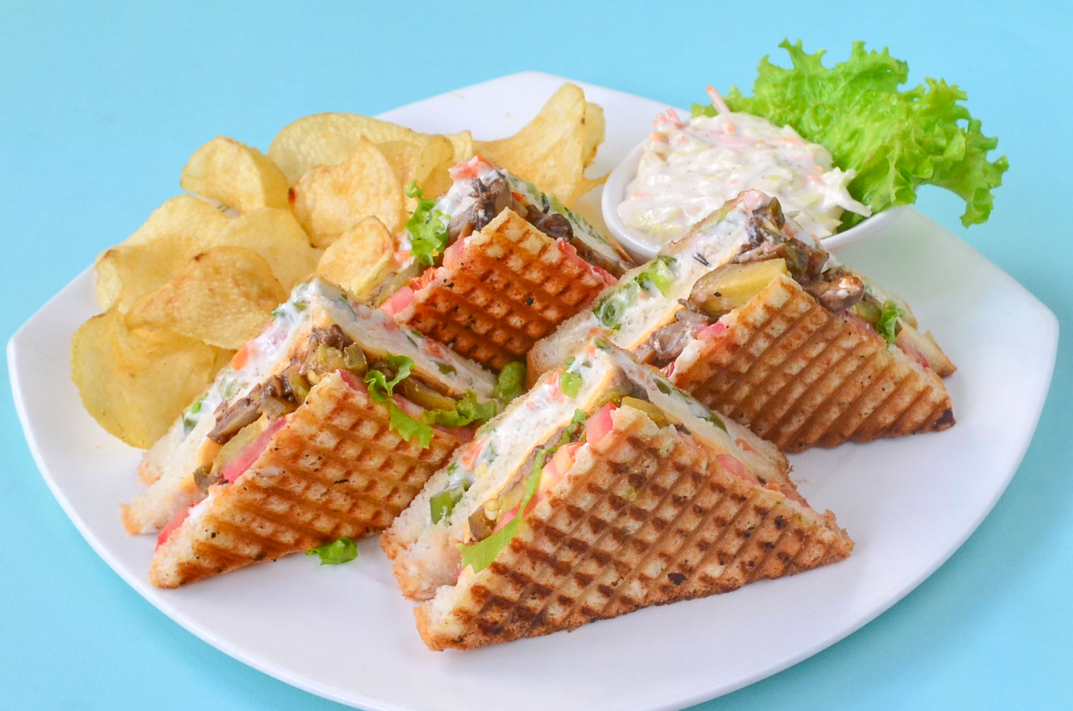 Shri Balaji Sandwich Foodzone Rj-19 - Logo