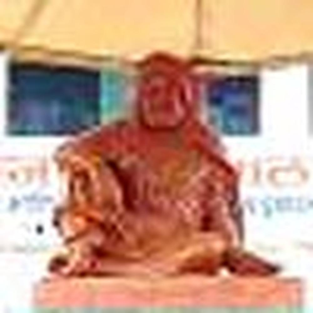 Shri Gadge Maharaj Mahavidyalaya (SGMM) - Logo