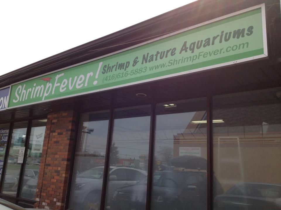 ShrimpFever Aquariums - Logo